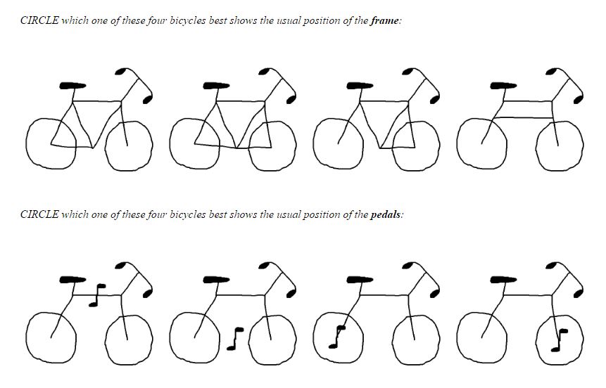 Figure 2 Bicycle