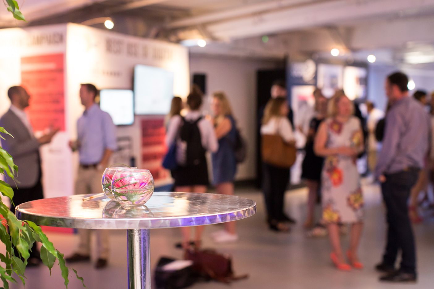 img-115_35235278753_o