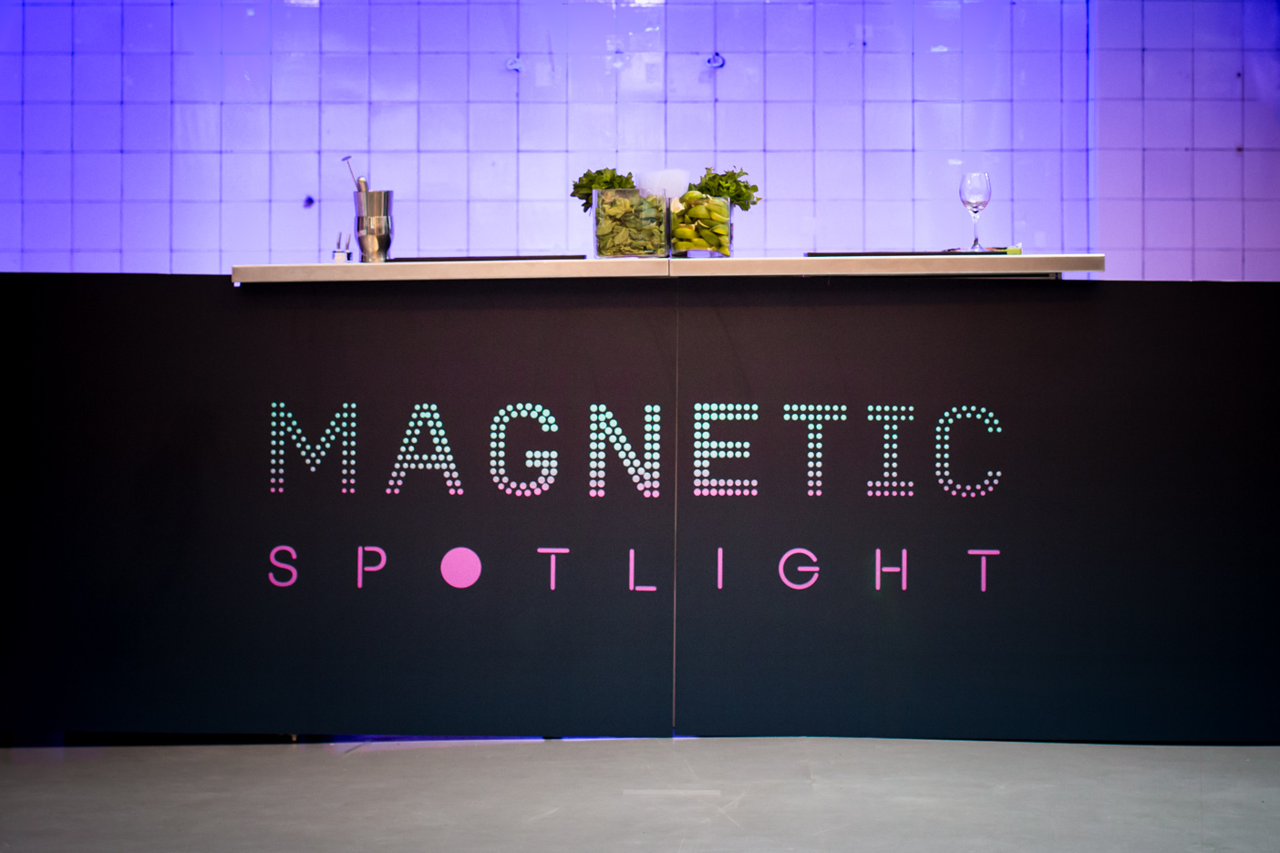 img-53_36045200925_o