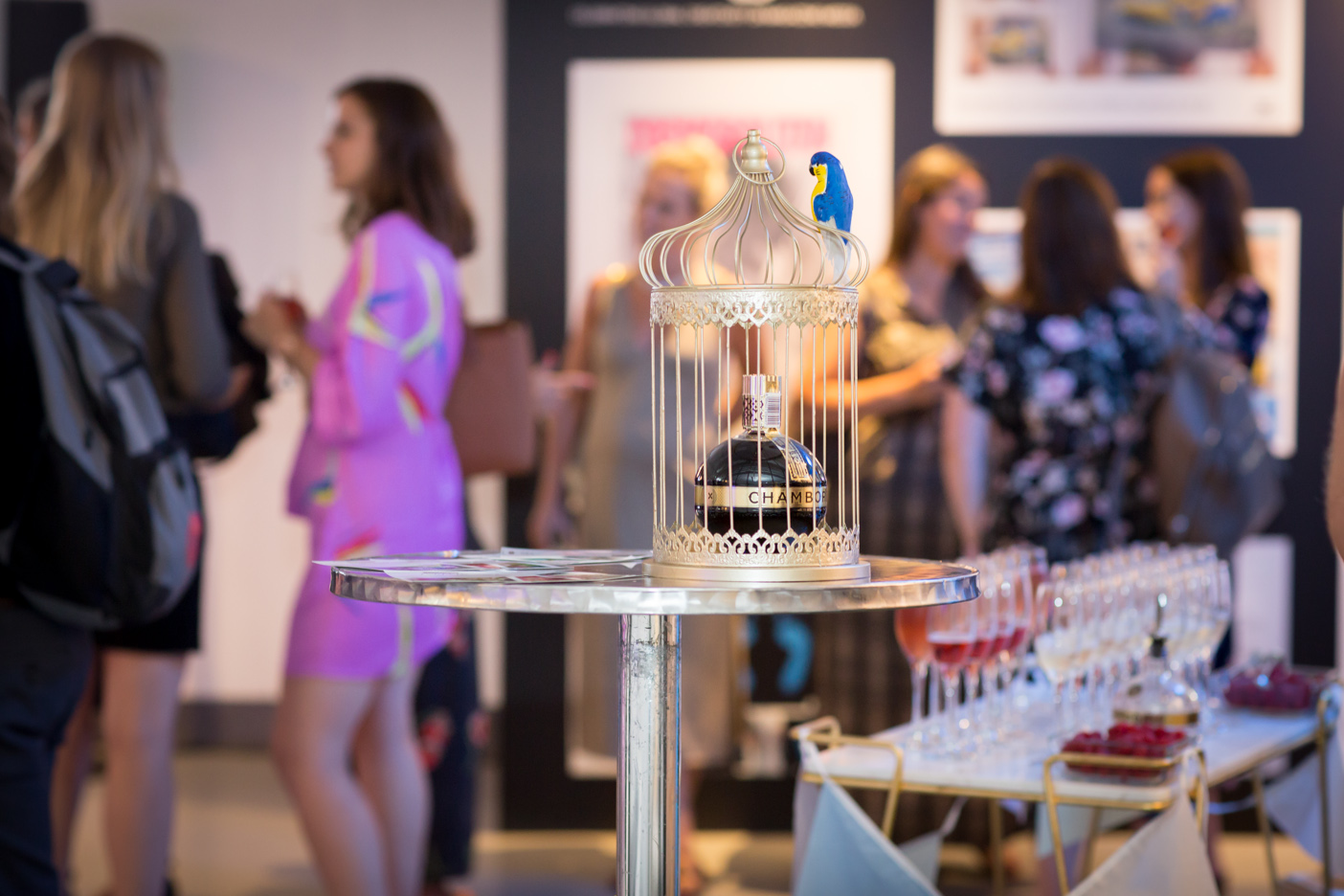 img-92_35234866033_o