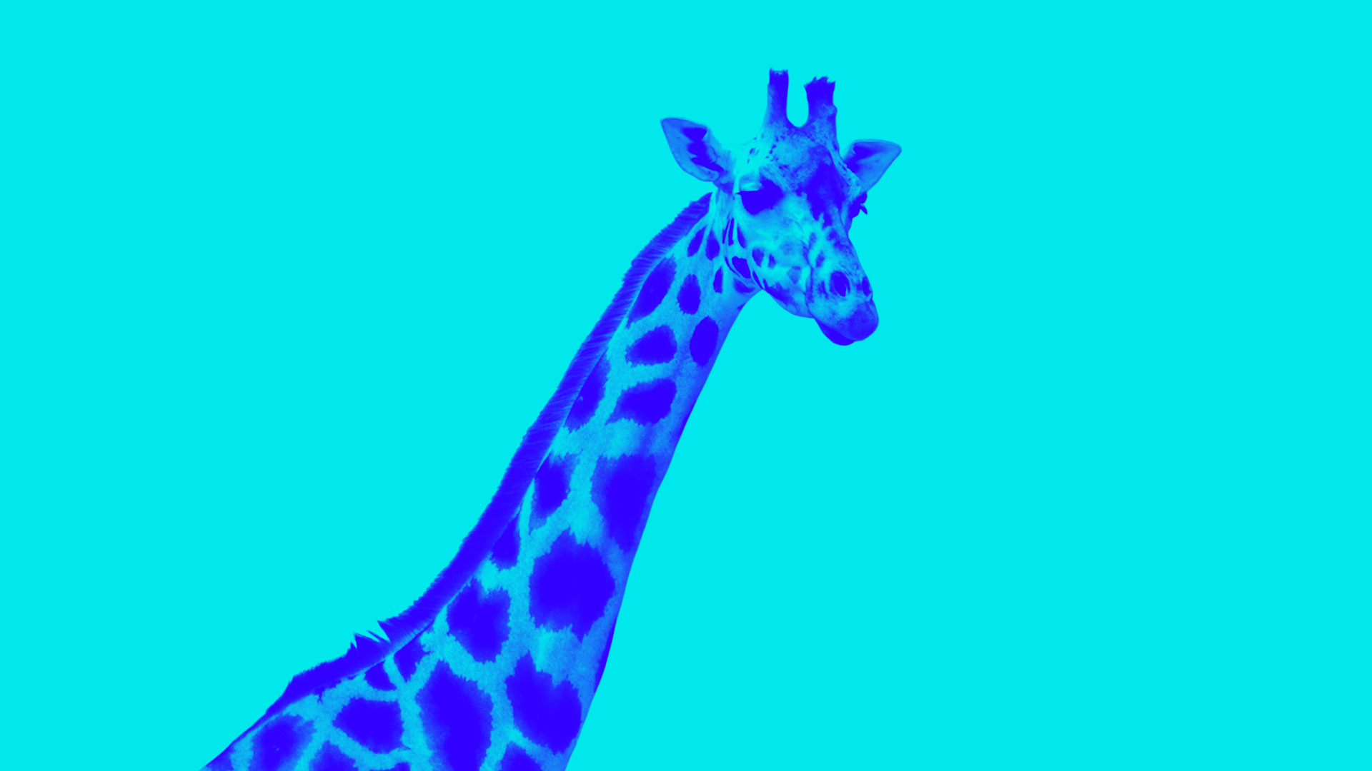 Metrics that matter Magazine Media Research