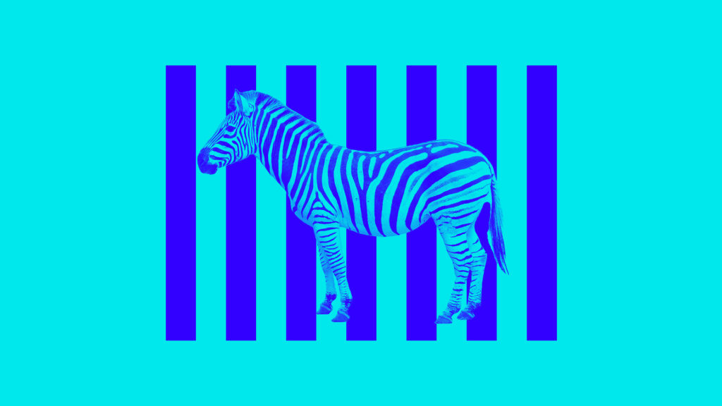 power of context Magazine Media Research