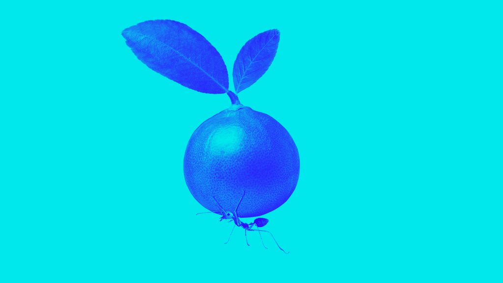 Retaining relevance for brand growth Magazine Media Research